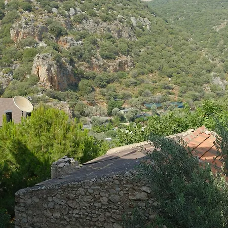 Kaktus Aparthotel 3*